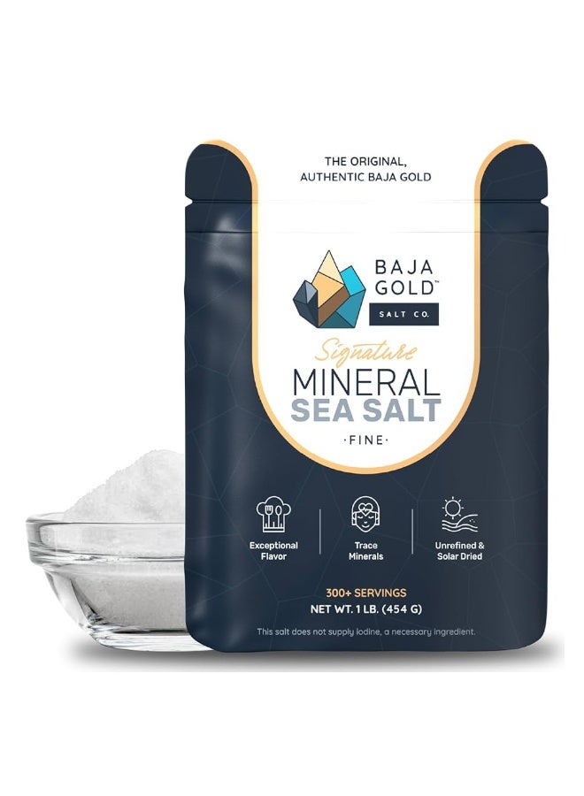 BAJA GOLD Mineral Sea Salt Fine Grind – 1 lb | Natural Unrefined Sea Salt with Trace Minerals for Cooking & Baking